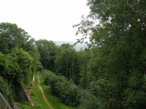  forêt de Brabois